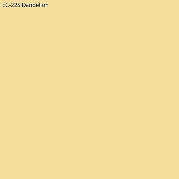 Ecco Full Bolt Cotton in Dandelion