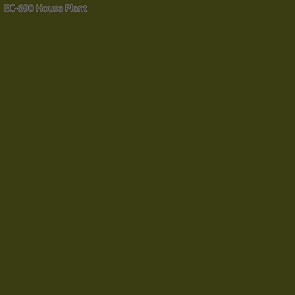 Ecco Full Bolt Cotton in House Plant